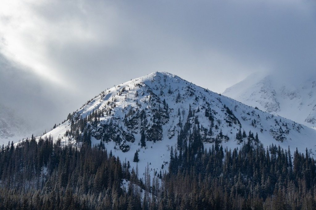 Exploring the Great Outdoors: A Traveler’s Guide to Adventure
